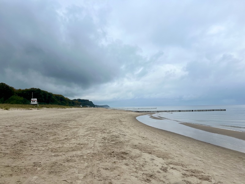 wandern mit Hund auf Usedom