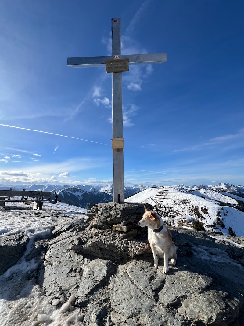 Winterwandern in Leogang