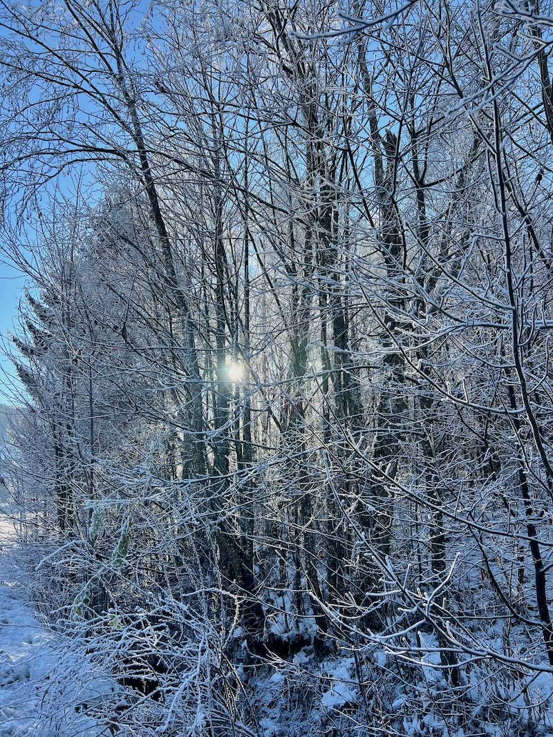 Winterwandern in Leogang