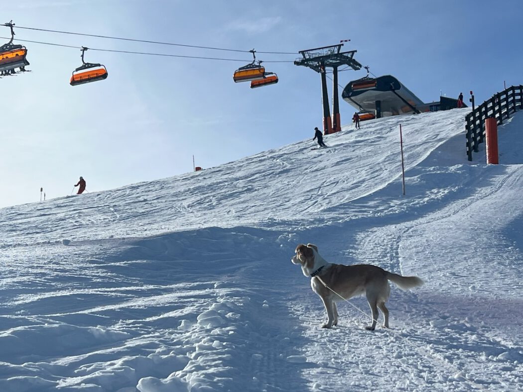 Winterwandern in Leogang