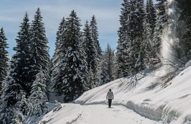 Sonnasita_Hotel-Natur-Genuss_Winter-04_1100x600-min-aspect-ratio-652-424