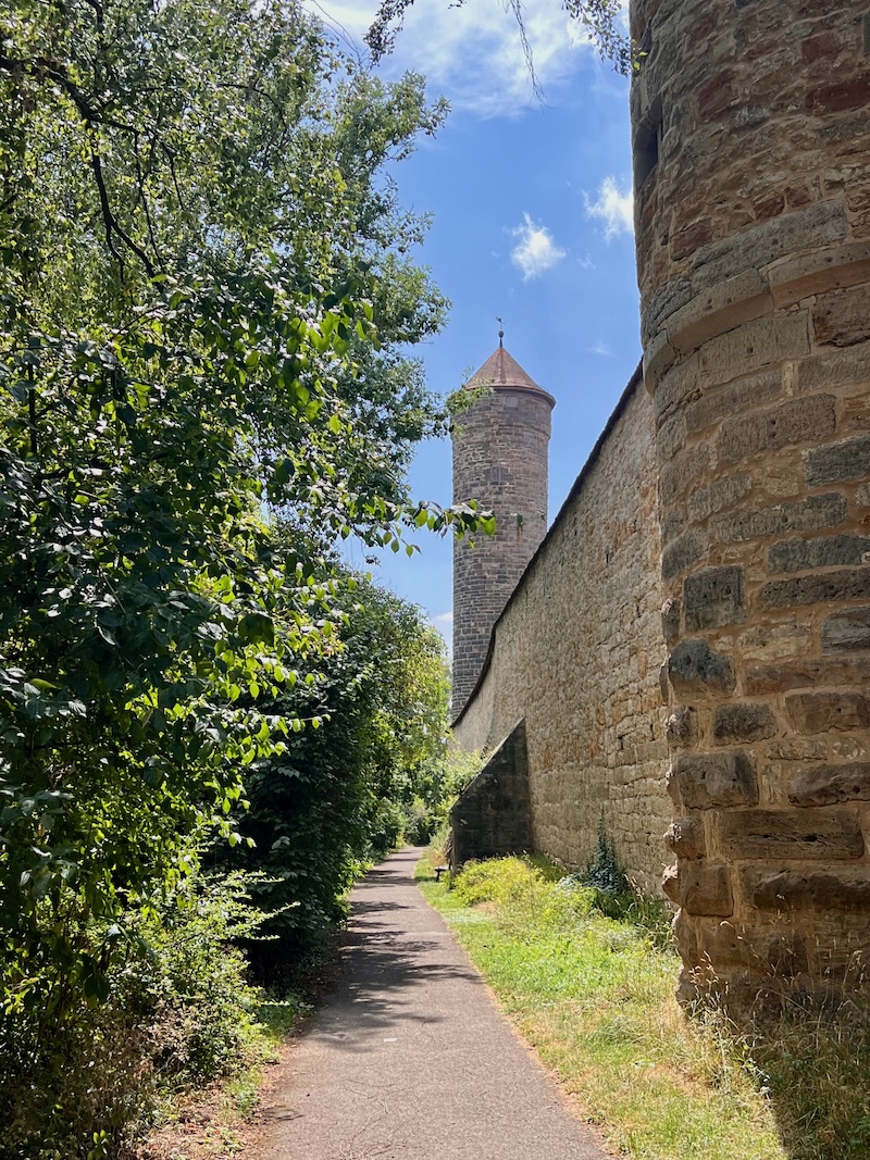 Rothenburg ob der Tauber mit Hund