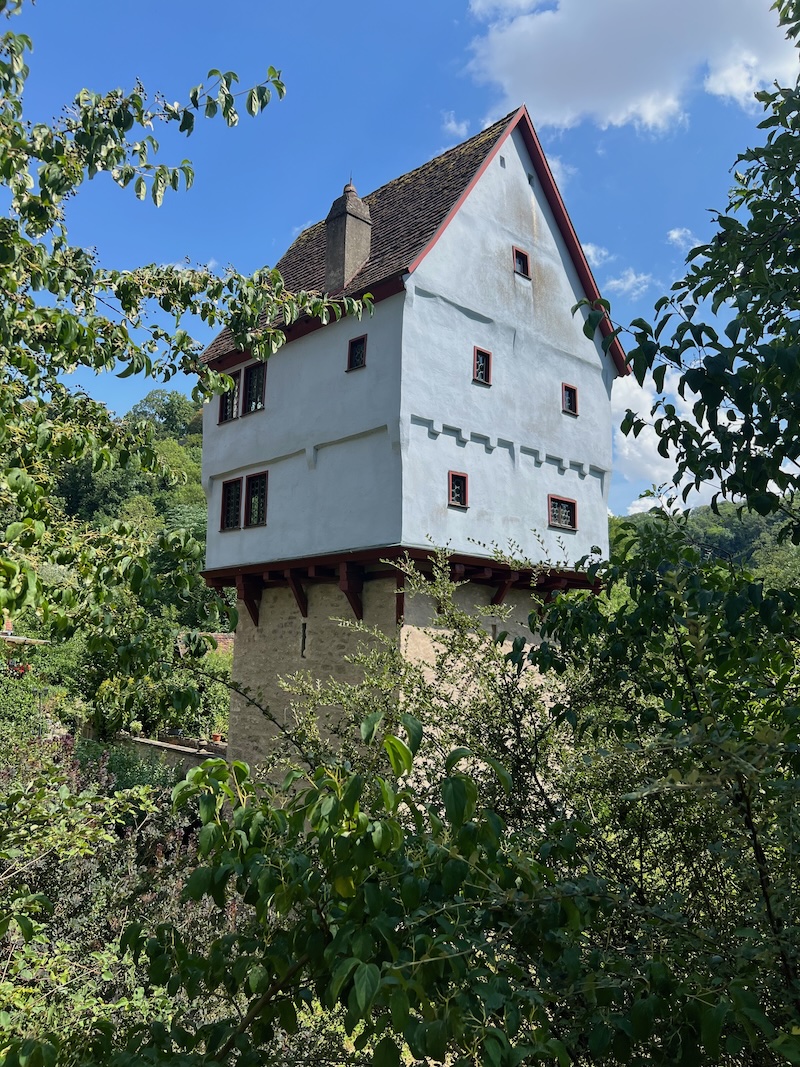 Rothenburg ob der Tauber mit Hund