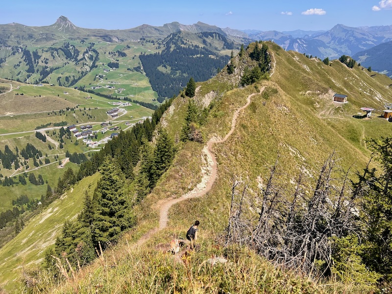 Wandern Grosses Walsertal mit Hund