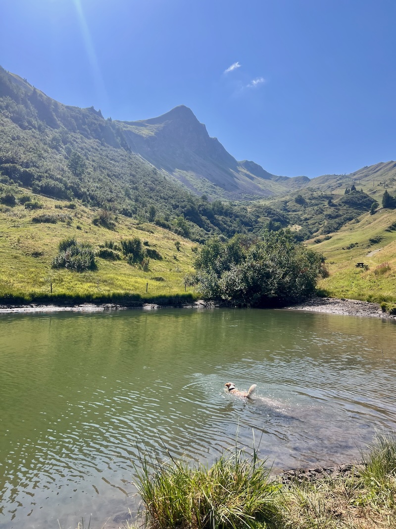 Wandern Grosses Walsertal mit Hund