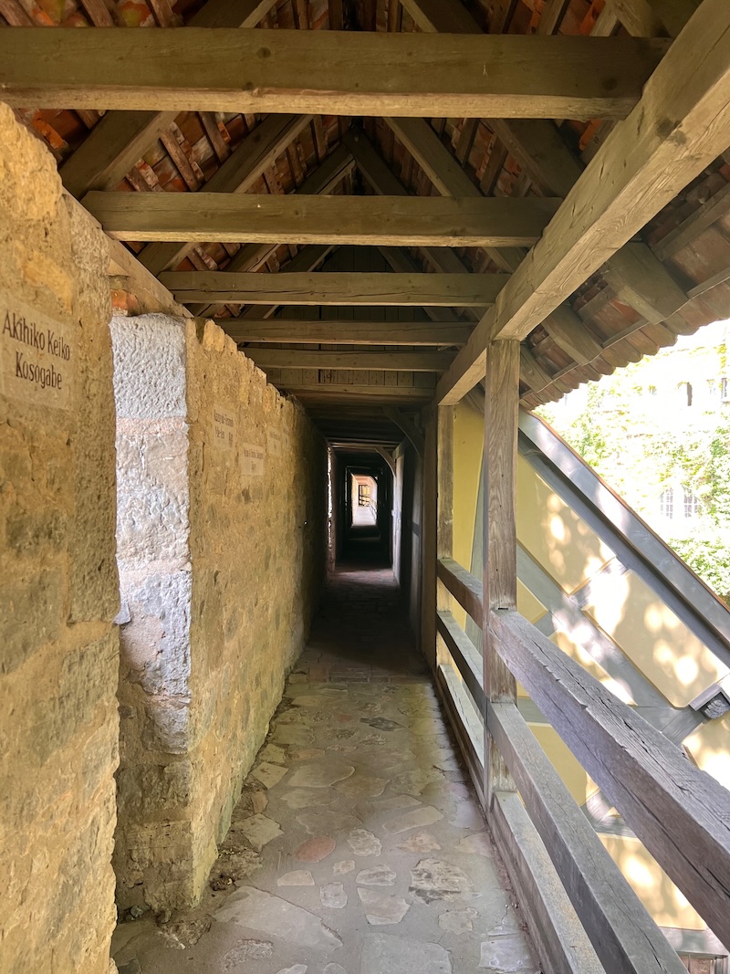 Rothenburg ob der Tauber mit Hund