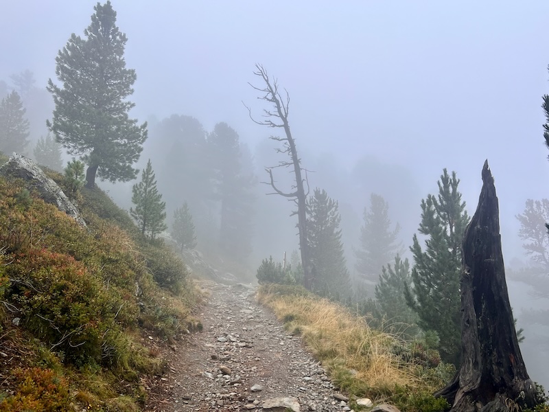 Zirbenweg